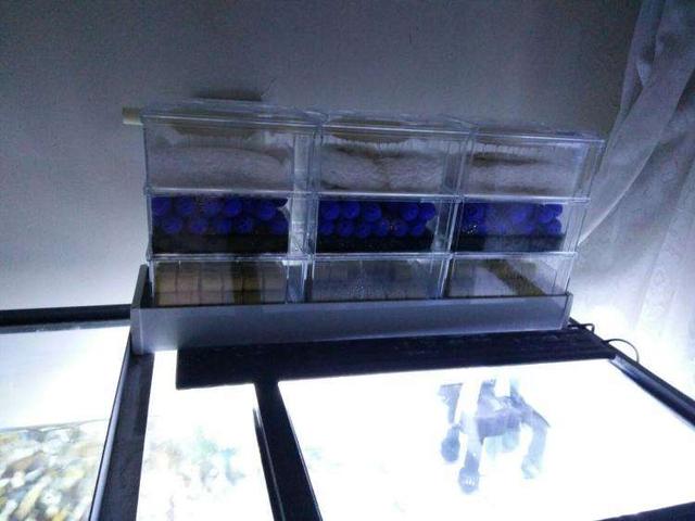 鱼缸细菌屋放在底砂底下吗,鱼缸细菌屋下面