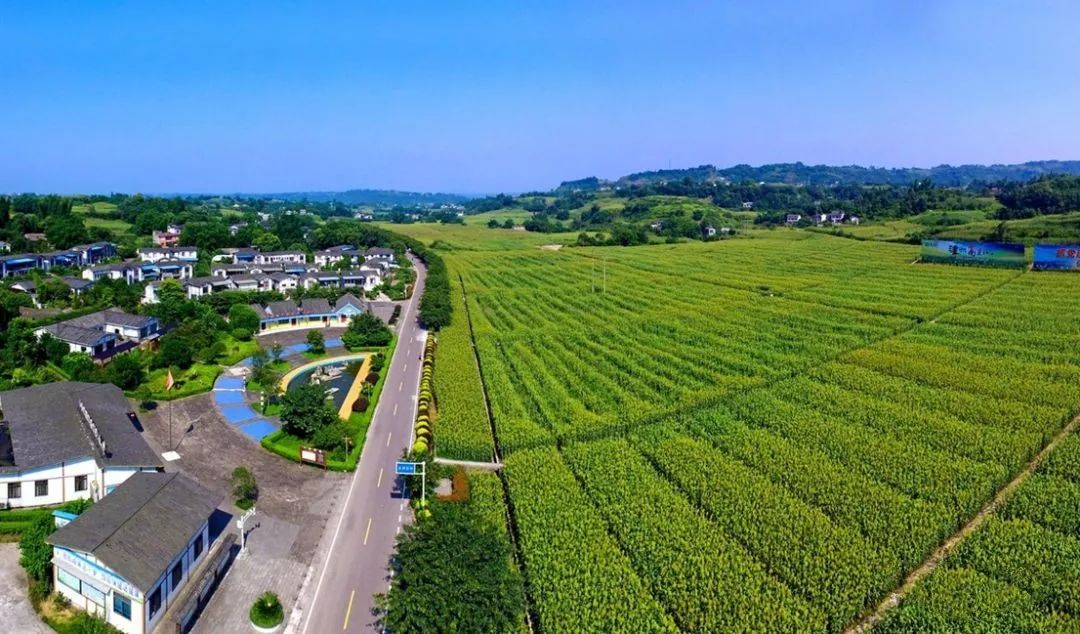 为家乡打call南通,为家乡打call重庆