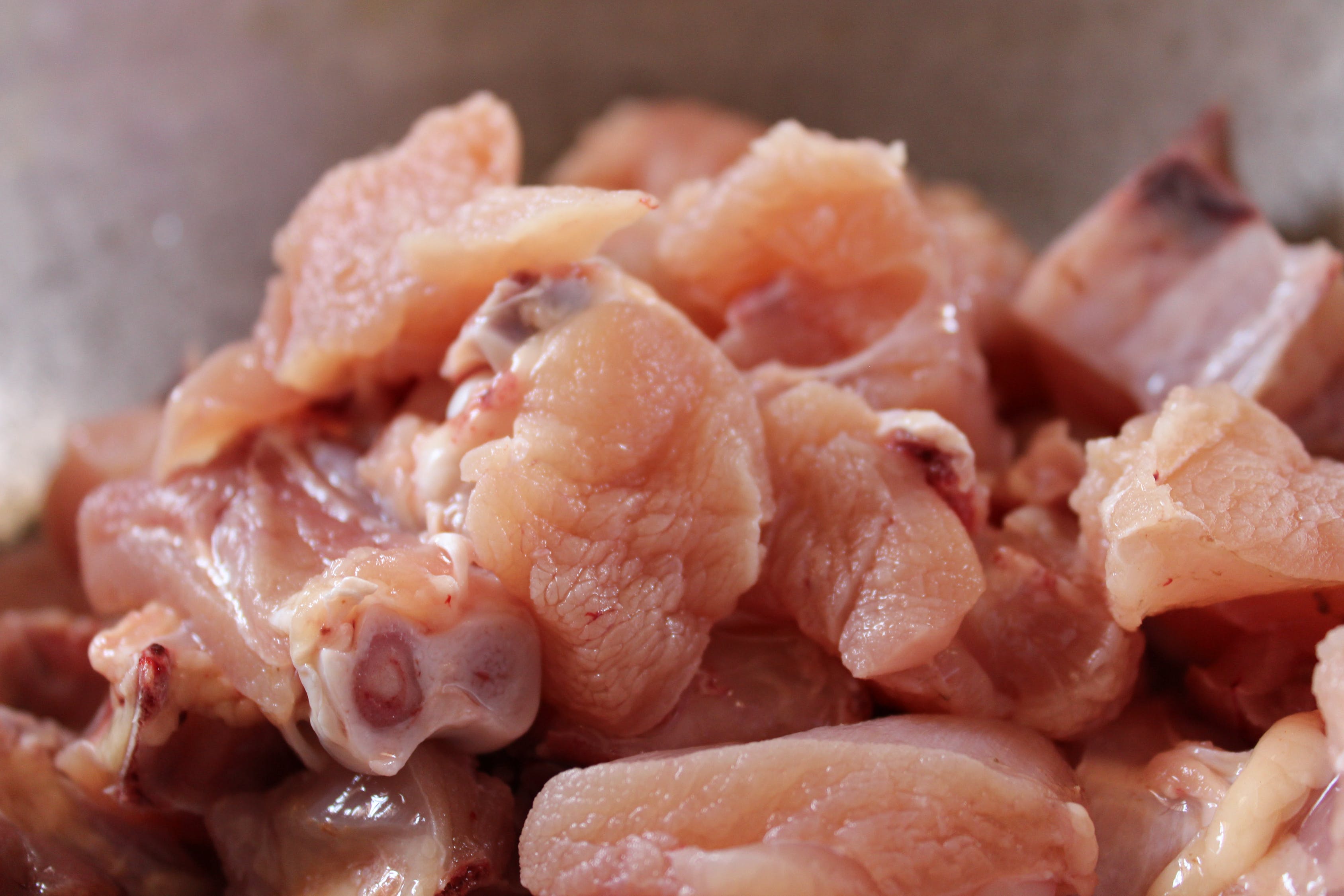 狗狗的十种禁忌食物,狗狗十大禁忌食物