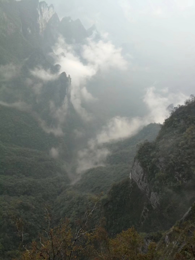 天门山一个人旅游,天门山的特别之处