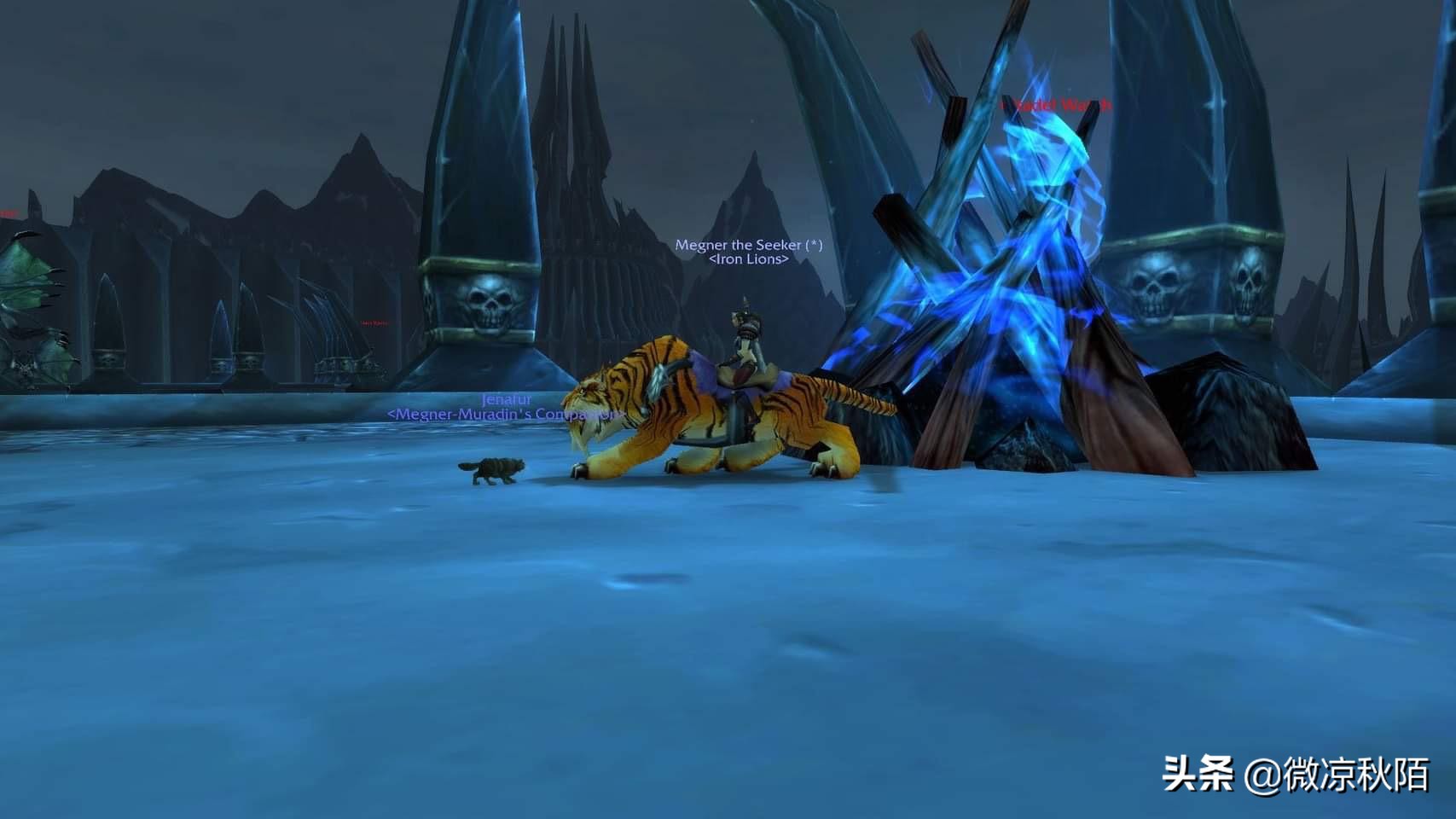 魔兽世界幽灵虎坐骑在哪里,魔兽世界幽灵虎古德