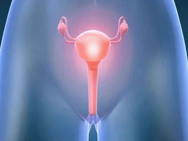 细菌性阴道炎的“克星”,经常吃远离妇科疾病