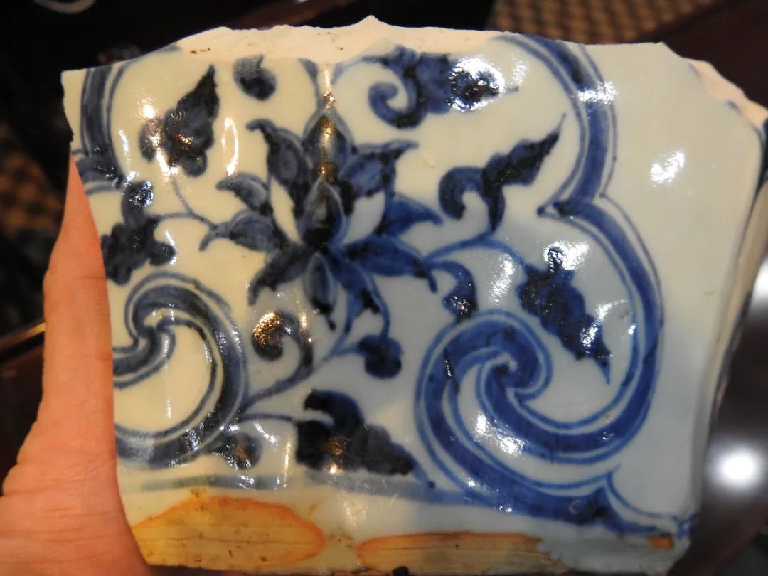 鍏冮潚鑺卞寽鐪熷搧鐗瑰緛,姘戠獞鍏冮潚鑺辩鐗瑰緛