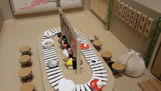 身价300万的仓鼠外网走红！住3层电梯豪宅，丰富娱乐，人不如鼠啊