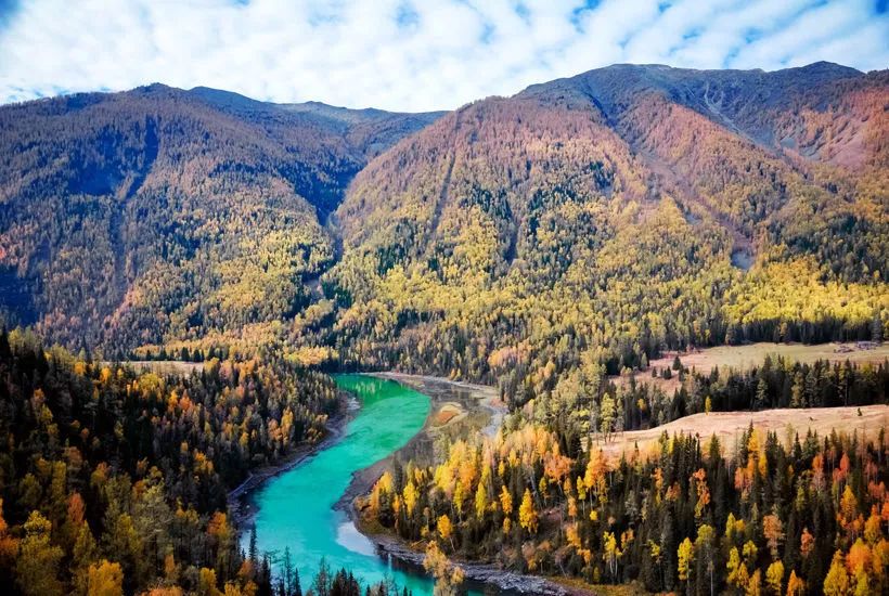 请年假必须批准的理由,请年假需要写理由