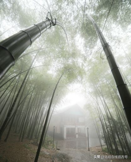 夜雨寄北是写给北碚的吗,夜雨寄北北碚