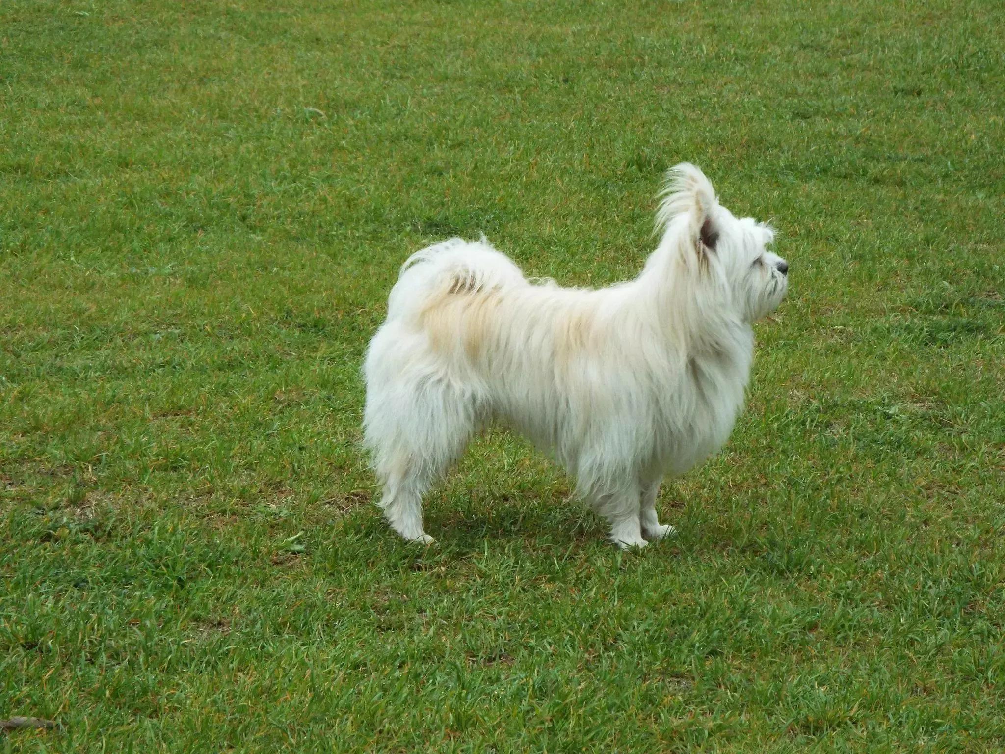 每天学习亿点点——O2O、C2C、B2C、B2B