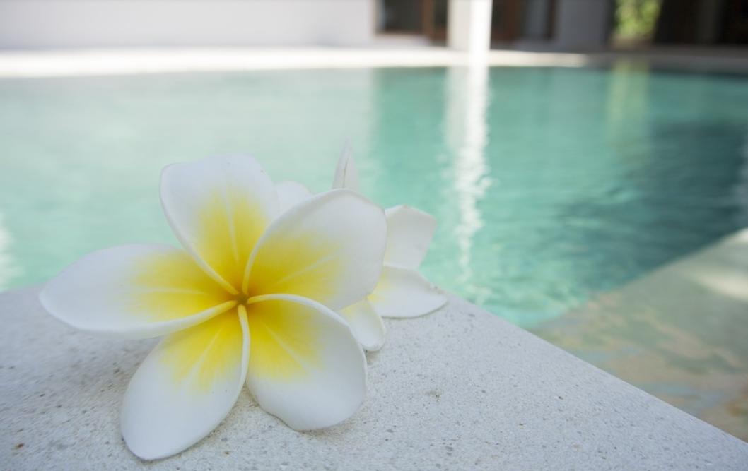 从化温泉哪里有真温泉,广东从化温泉度假推荐