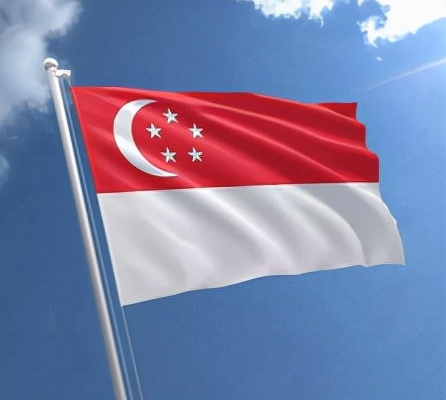 新加坡留学费用一年多少人民币,初中留学新加坡需要什么条件