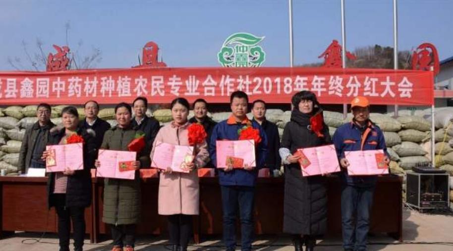 农产品期货市场专题报告,我国农民如何利用农产品期货