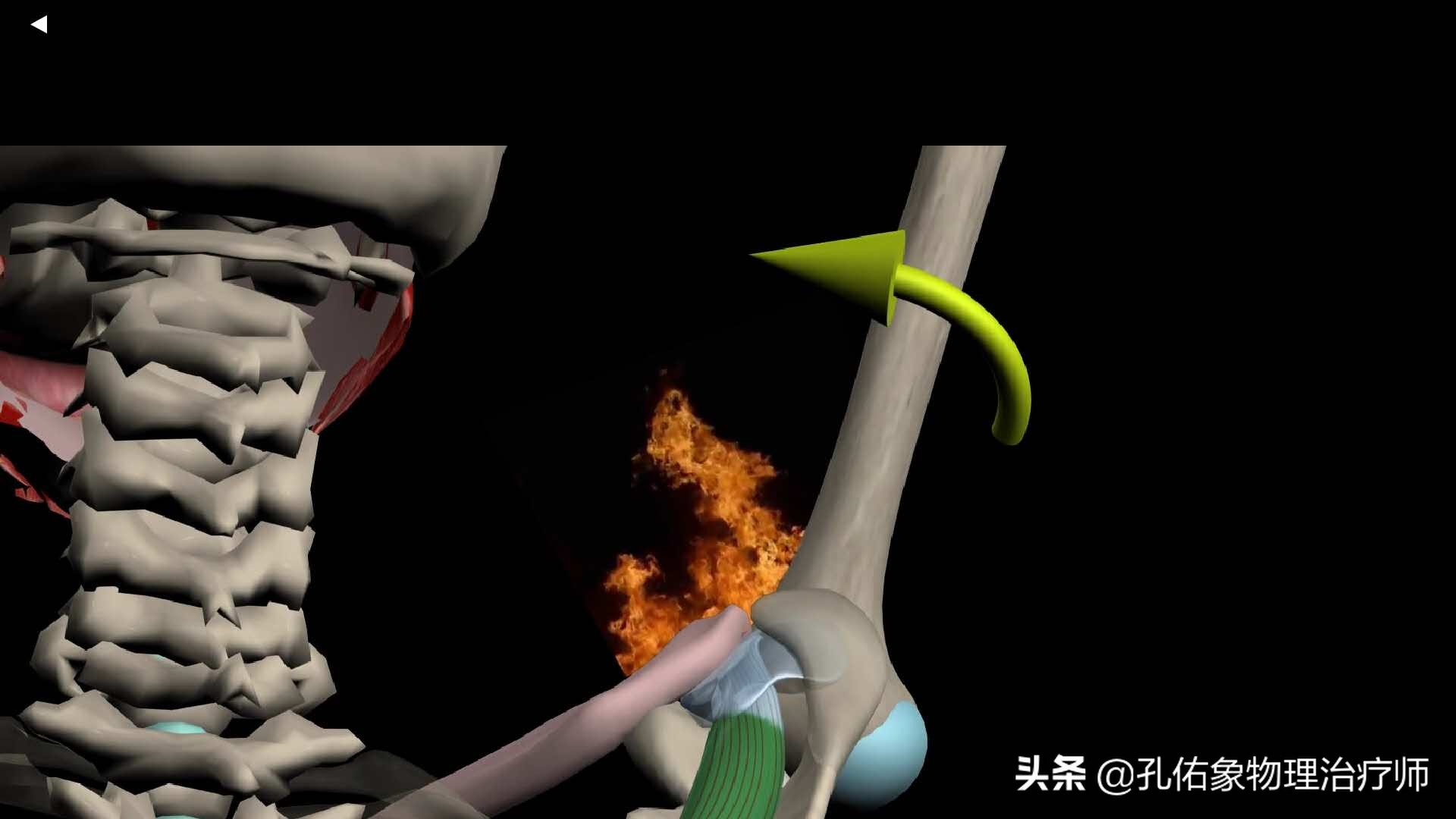 老年人肩周疼痛的厉害怎么治疗,老年人肩背部疼痛怎么回事