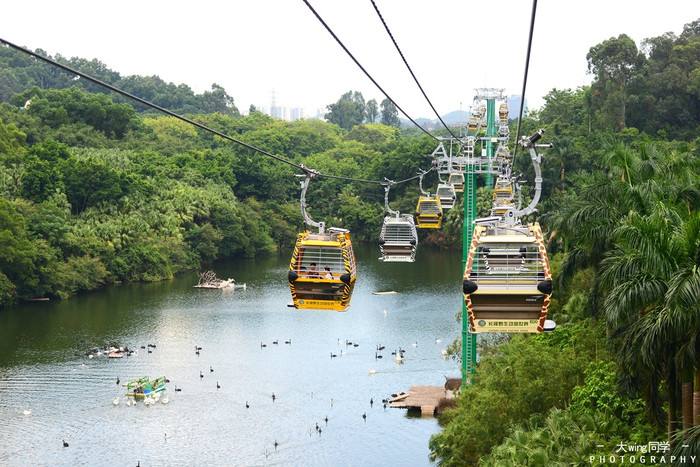 1月广州长隆野生动物园旅游攻略,广州珠海长隆野生动物园四日游