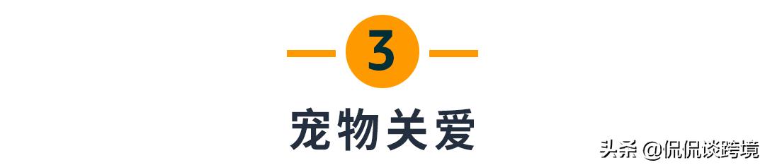 亚马逊6大品类疫情 (亚马逊疫情过后哪些产品值得买)