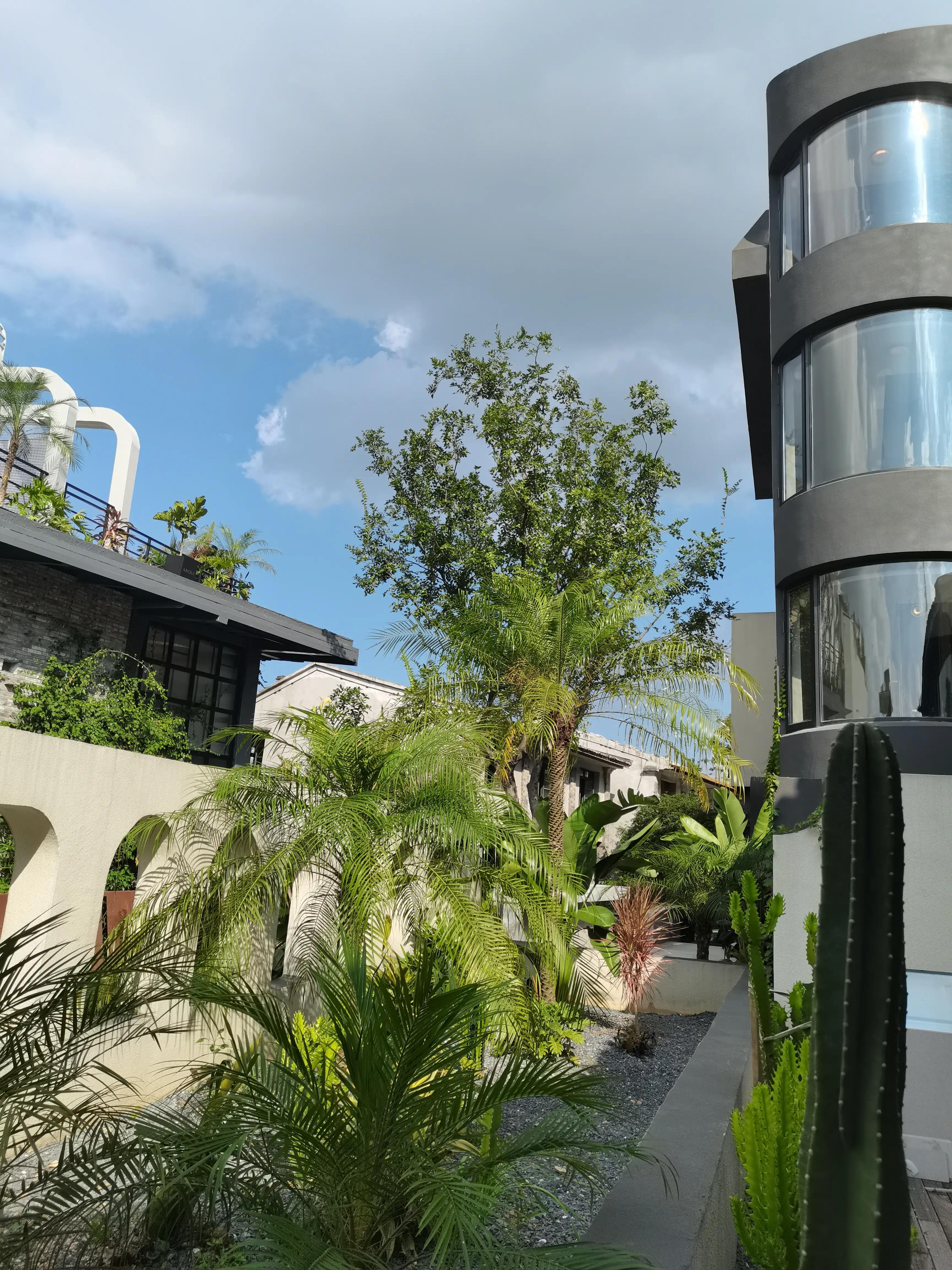 温州茶山风景区游玩攻略图,温州瓯海山根小村景区