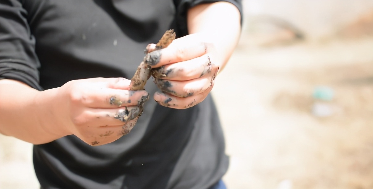 野外救急食物,野外救命技巧和方法