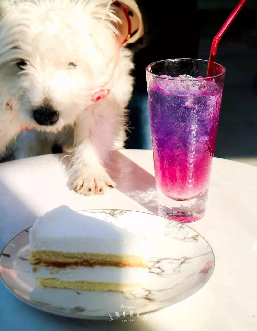 上海魔都十大网红店,魔都新店三万家这32家潮店必打卡