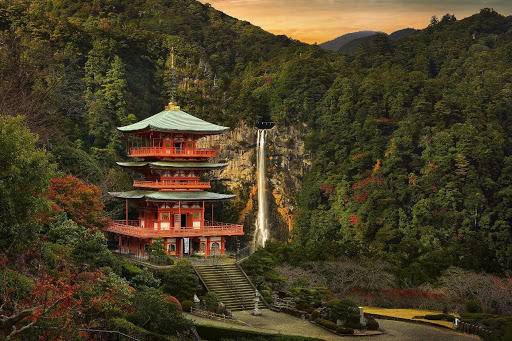 疫情就像照妖镜,疫情下的照妖镜