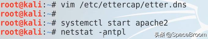 四十二，DNS欺骗和钓鱼网站原理详解及漏洞还原