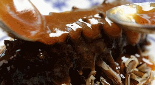 海参辽参刺参哪种参最好,海参刺参跟红参的区别