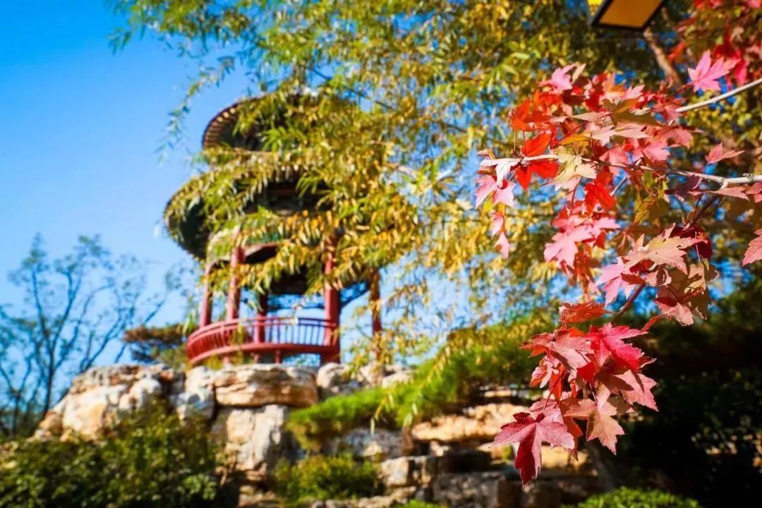 郑州漂亮的秋色风景,郑州的这些湖畔藏着最美的秋色