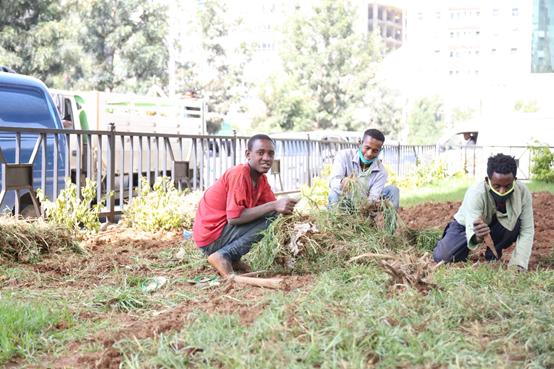 谢谢你们,我的生活很好,学习很棒