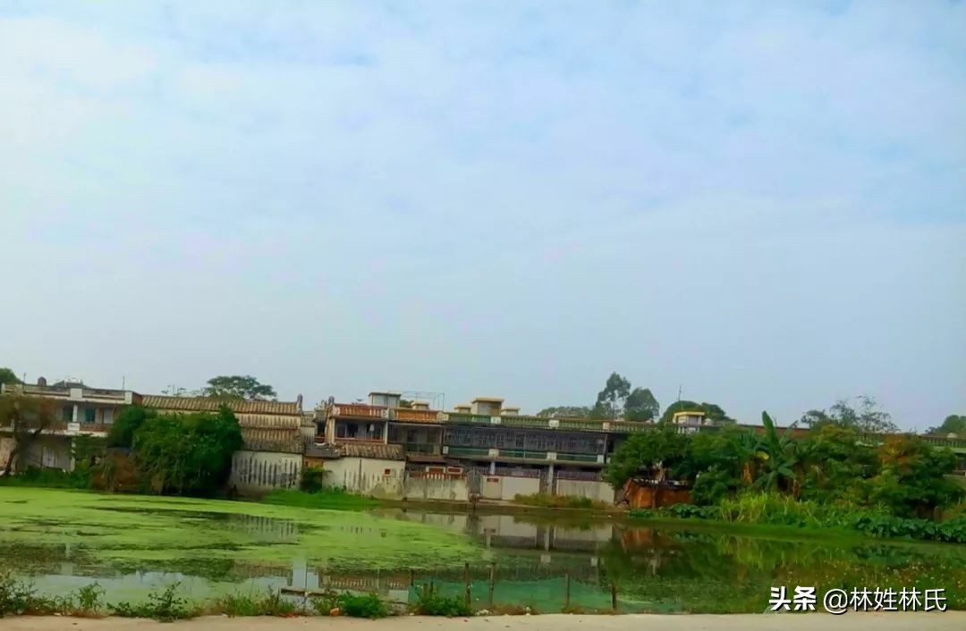 乌门楼│桐坑林氏始居地探源