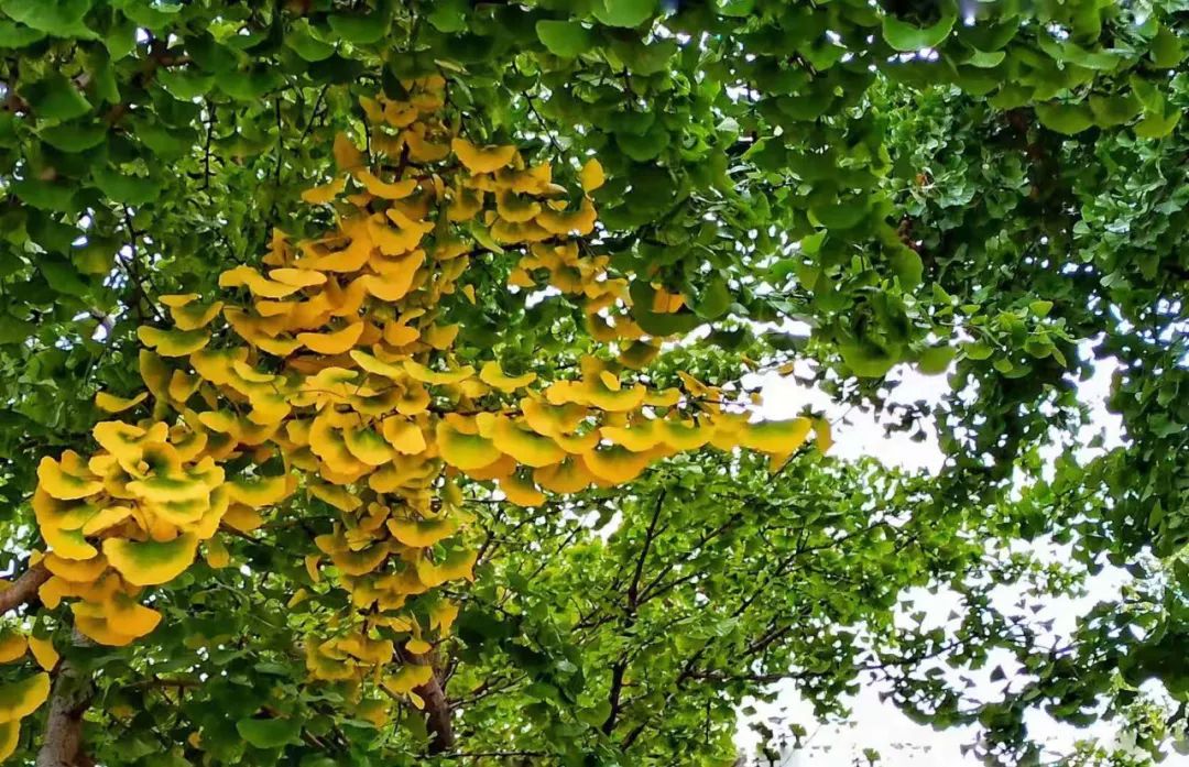 玉田县什么时候能发展一下,玉田是个怎样的地方