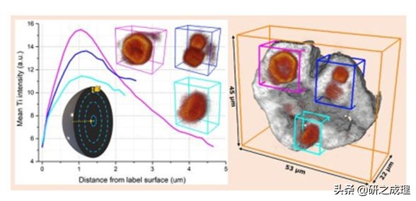 鍌寲蹇姤鏈熷垔,鍌寲鏉傚織灏侀潰