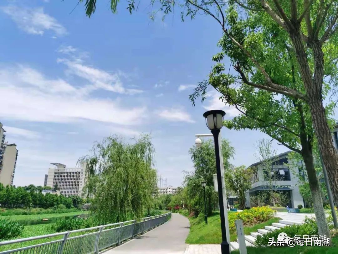 南湖的生态公园,南湖公园在未来哪里