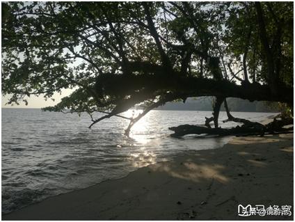 大马美食攻略,大马地方美食