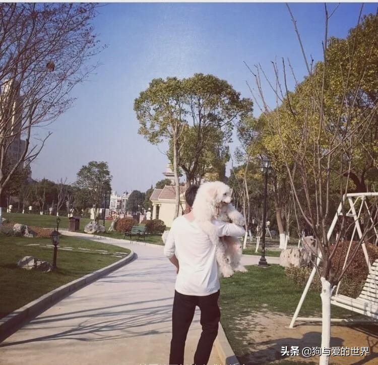 尔冬升怼哭郭敬明的时候 (尔冬升怼哭郭敬明是炒作吗)