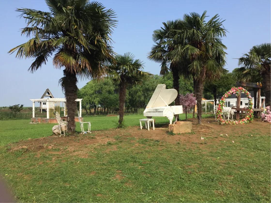 春的序曲洞庭西山,洞庭西山作品顺序