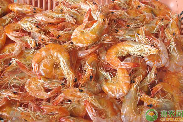 水产干货品种大全,水产干货哪里最好