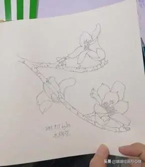 金凯瑞抑郁症的画,金凯瑞抑郁症画作