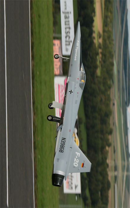 虎鲨悲剧,极富悲剧色彩的虎鲸