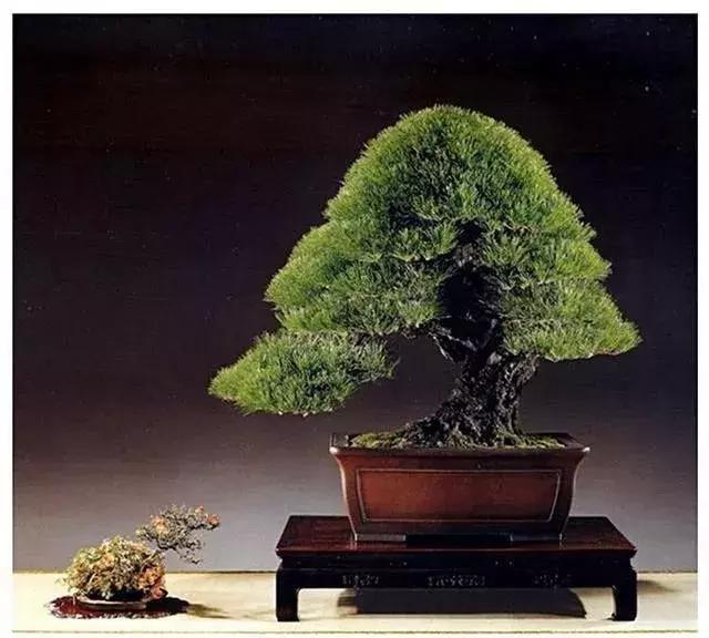 他山之石可以攻玉诗句,他山之石可以攻玉的作品