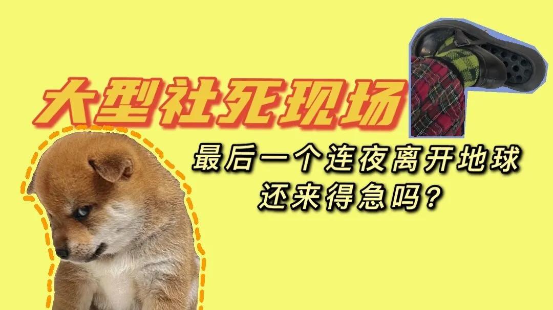 搞笑段子：骑上我心爱的小乌龟