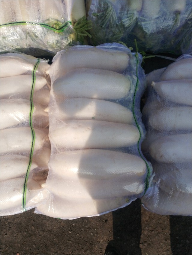 武汉四季美水果农贸市场最新消息,武汉四季美蔬菜批发市场营业时间