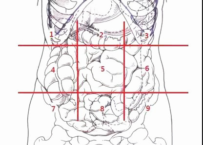 肚子痛按哪里知道病症,一张图看懂肚子痛位置和原因
