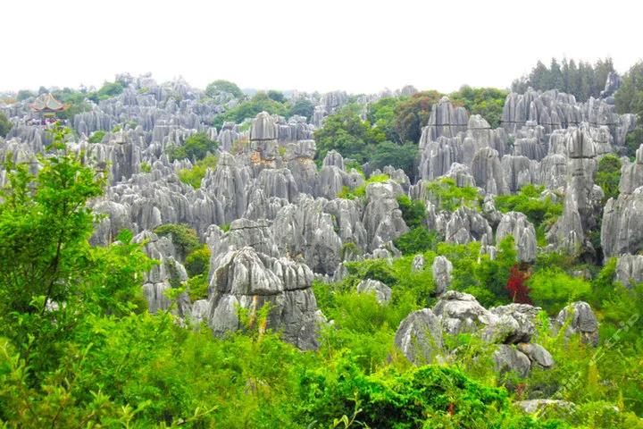 云南最美的旅游景点排名,大美云南11个县域旅游地