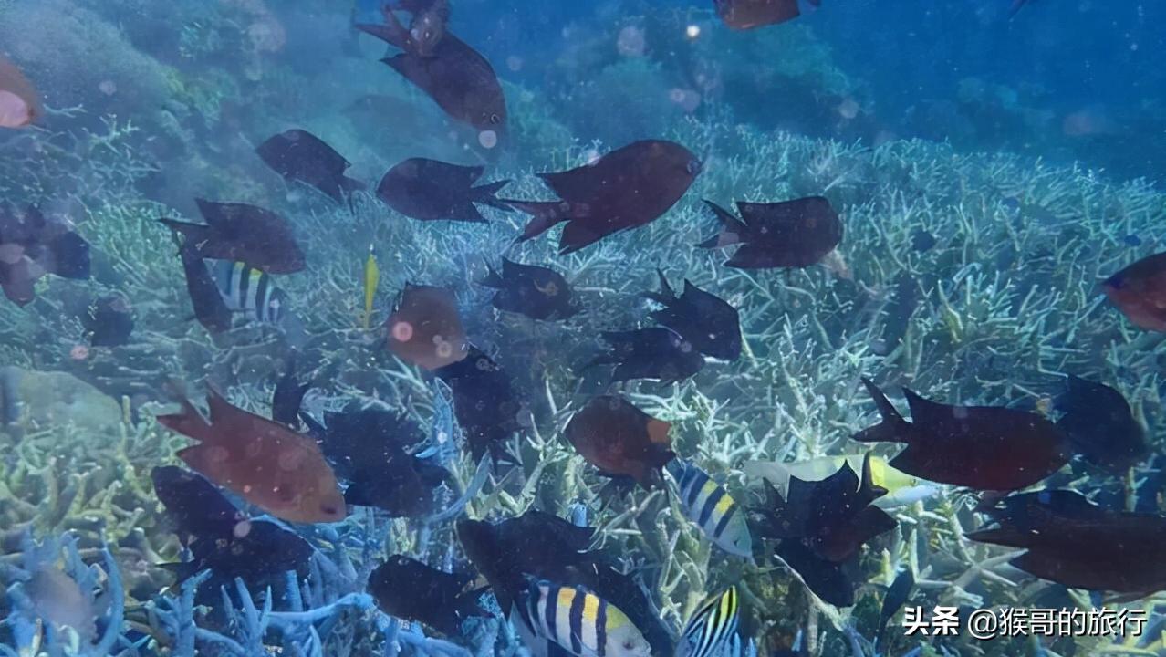 海南小众海岛万宁石梅湾加井岛,在海南万宁感受海滩风光