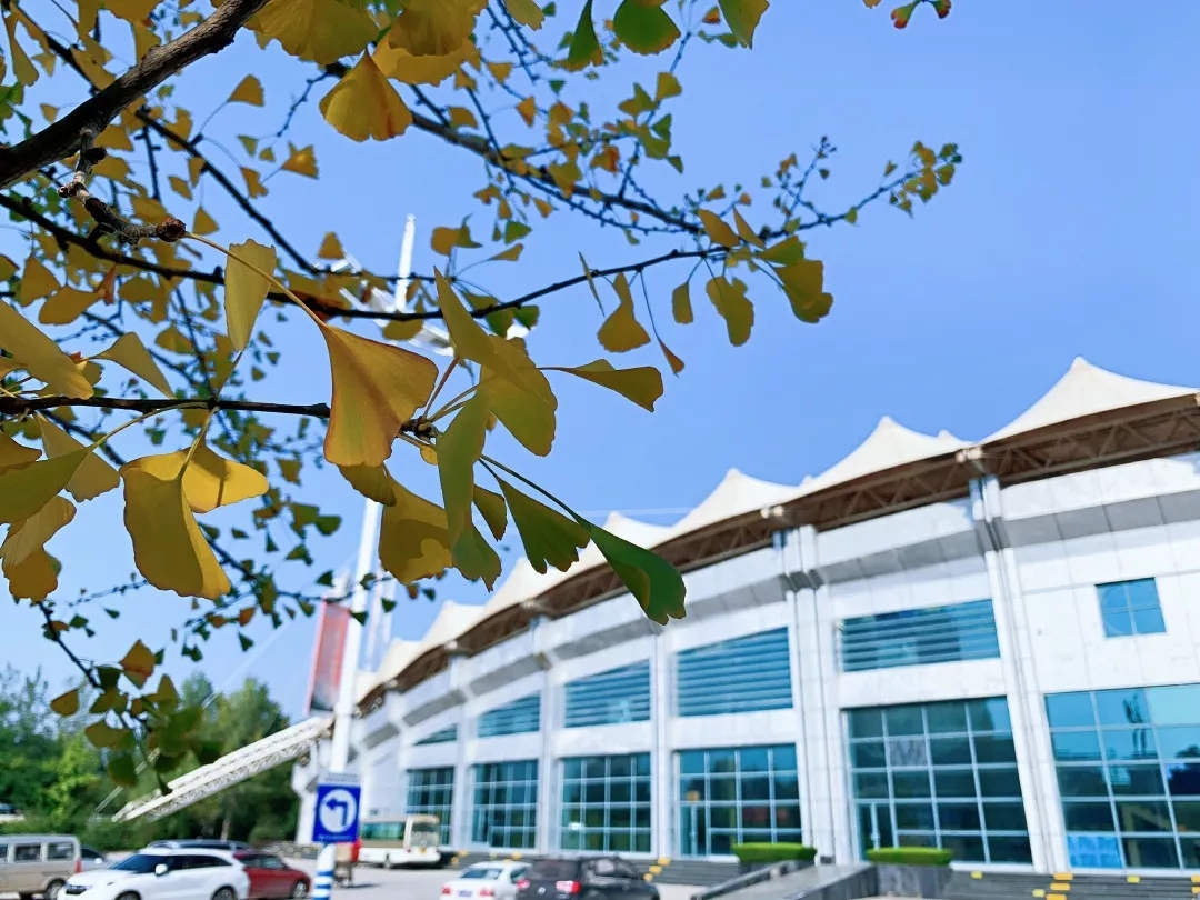 重磅!教育部最新通知:长安大学新增5个本科专业!