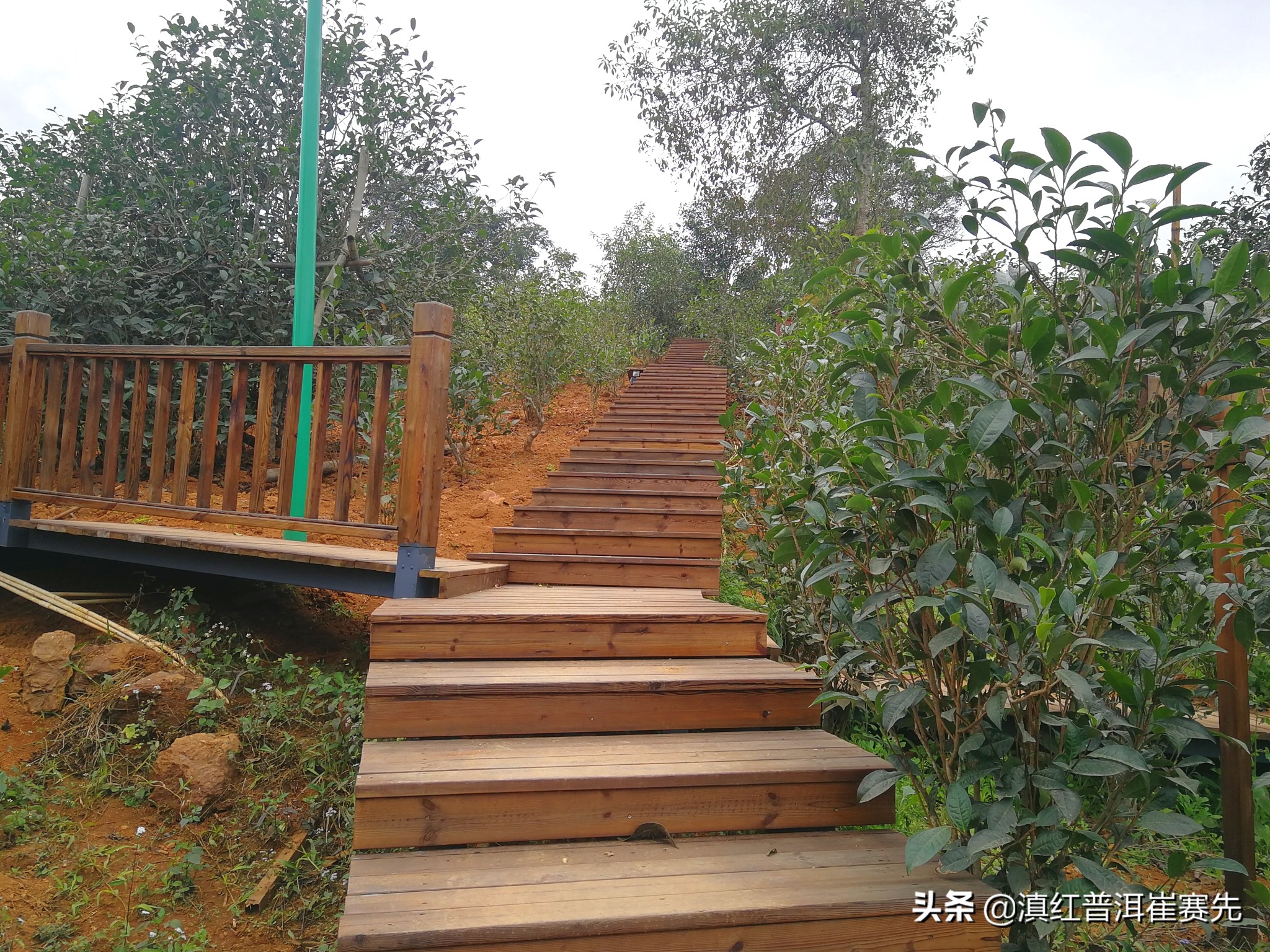 六大茶山号级普洱茶评测,昔归茶山行普洱茶