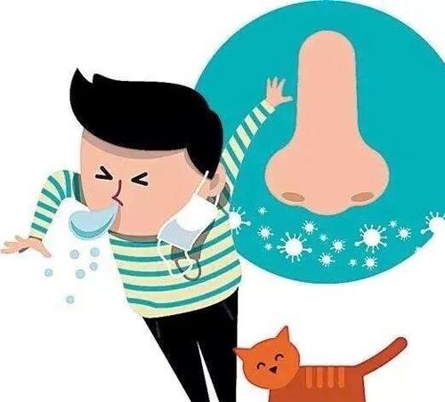 过敏性鼻炎益生菌哪个牌子好,儿童过敏性鼻炎吃益生菌能缓解