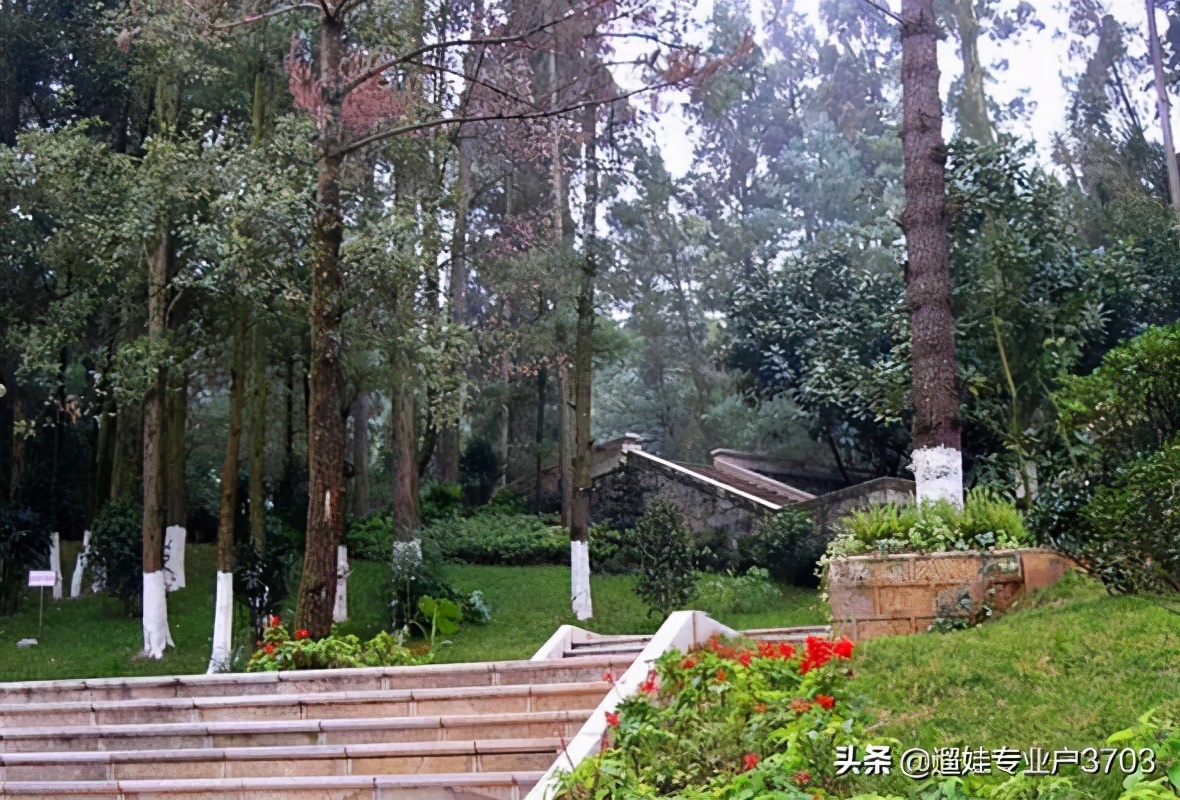 从茶马花街到西山龙门的旅游路线,西山森林公园旅游攻略一日游价格