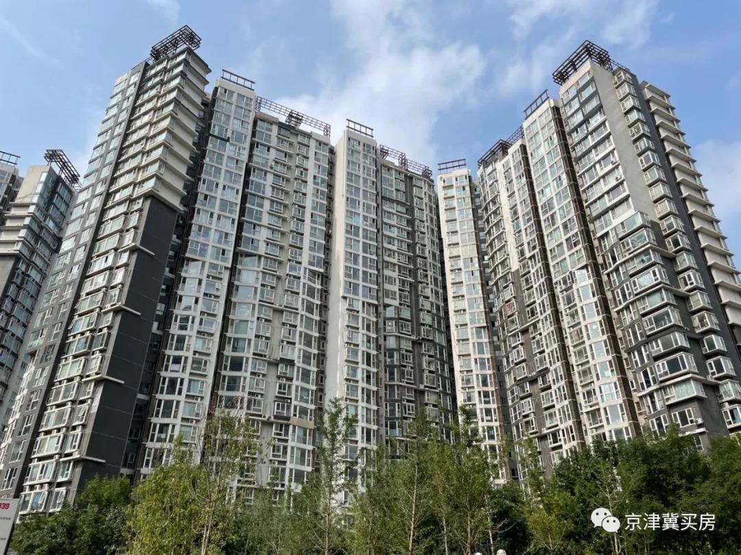 朝青2018年价格,朝青价格走势