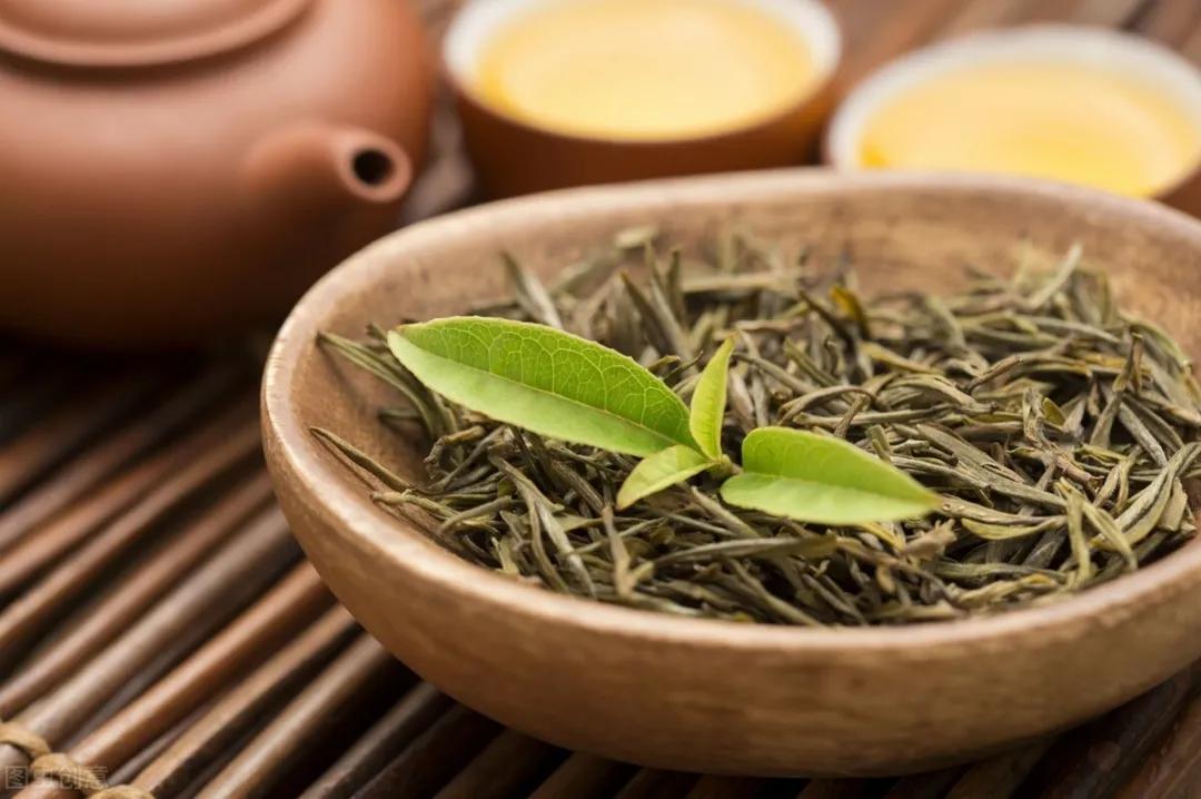 身价过亿的沉香种植小伙子,小伙投资五百万种300亩沉香