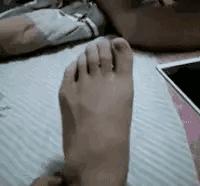 在山上遇到什么野果,在山上遇到哪些野菜