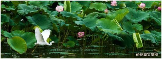 昆明嘉丽泽恒大养生谷楼盘现状,昆明嘉丽泽恒大养生谷loft