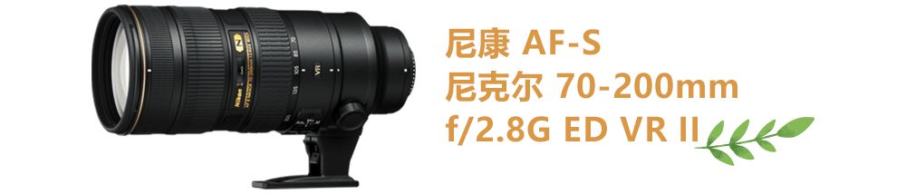 拿起尼康相机，带着孩子去记录美好的童年